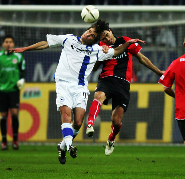 数据表明 数据表明